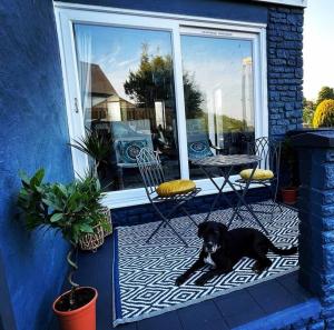 a black dog laying on a rug in front of a door at Relaxing Riverside Cottage in Llangwm