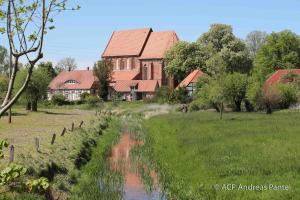 a house in a field next to a river at Apartment im ART.Quartier in Velgast