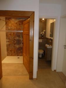 a bathroom with a shower and a wooden door at GOME in Meßkirch