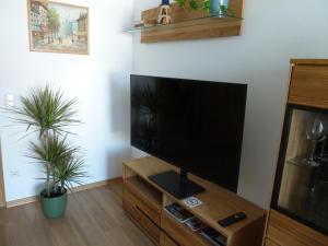 a flat screen tv on a wooden stand in a room with two plants at GOME in Meßkirch