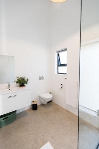 a bathroom with a toilet and a glass shower at GreenHouse APARTMENT in Mount Road