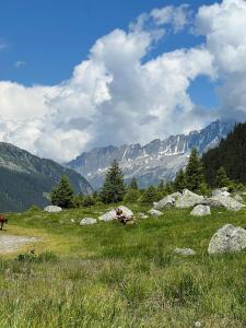 a group of rocks in a field with mountains at Penthouse with incredible view in Erstfeld