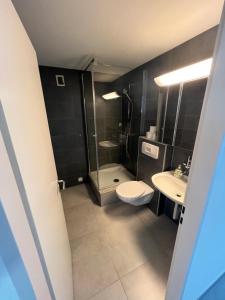 a bathroom with a toilet and a shower and a sink at Penthouse with incredible view in Erstfeld