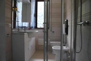 a bathroom with a shower and a toilet and a sink at Bluelake Apartament 1 Omegna in Omegna