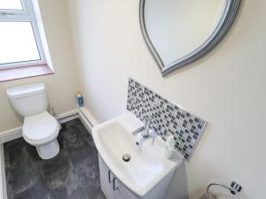 a bathroom with a sink and a toilet and a mirror at Saddle Rack Cottage in Louth +17 photos