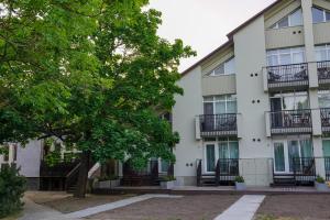 an apartment building with balconies and a tree at Laiminga Smilga in Juodkrantė