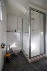 a bathroom with a glass shower and a toilet at Recreatiepark Maas en Bos in Wellerlooi +15 photos