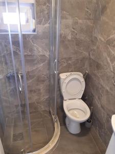 a bathroom with a toilet and a shower at Apartments Mušović in Bar