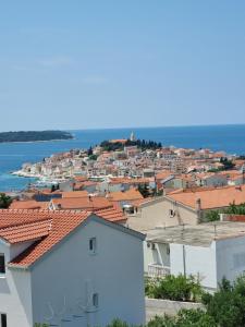 Gallery image of APARTMANI TONI POCE 2 in Primošten