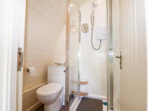 a bathroom with a toilet and a shower at The South Lodge Retreat in East Grinstead