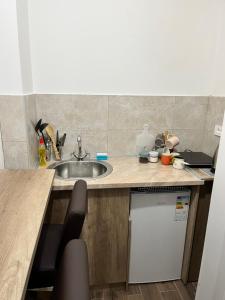 a kitchen counter with a sink and a dishwasher at Apartment Verde in Bar