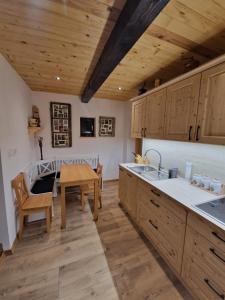 Kuchyň nebo kuchyňský kout v ubytování Vineyard cottage Vinska grajska kašča