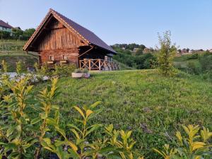 une maison en bois sur une colline dans un champ dans l'établissement Vineyard cottage Vinska grajska kašča, à Mirna