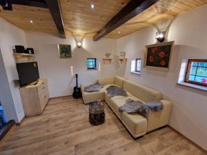 Μια τηλεόραση ή/και κέντρο ψυχαγωγίας στο Vineyard cottage Vinska grajska kašča