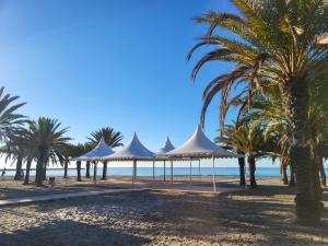 a row of tents on a beach with palm trees at Prachtig gemoderniseerde woning op 250 meter van het strand in Santa Pola
