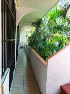 a hallway of a building with plants on the wall at Hotel Villa Tulipanes in Zihuatanejo