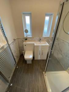 a bathroom with a toilet and a sink and a shower at Storey Apartment in Woodhorn