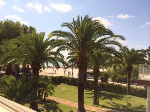 un grupo de palmeras en un parque en Minerva Beach, en Puerto de Alcudia