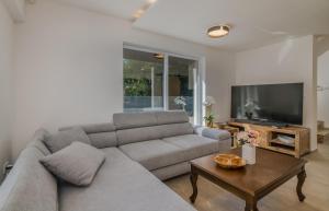 ein Wohnzimmer mit einem Sofa und einem TV in der Unterkunft Studio Apartman Alexandra in Bakarac