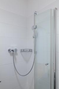 y baño con ducha y puerta de cristal. en Spacious, quiet 4 room flat, en Salzburgo