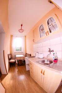 a kitchen with a sink and a counter top at Alexandra in Svoboda nad Úpou