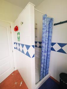 a bathroom with a shower with blue and white tiles at Casa Luz in Málaga