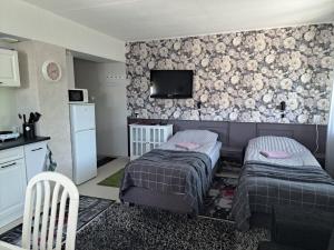 TV a/nebo společenská místnost v ubytování Kullerkupu Hostel