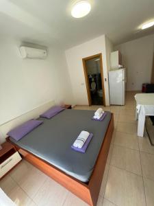 Kuchyň nebo kuchyňský kout v ubytování Villa Popic