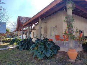 dom z roślinami przed nim w obiekcie Casa “El Rodeo” w mieście El Rodeo