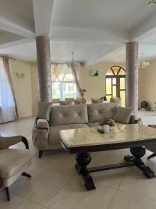 a living room with a couch and a table at Casa Mardar in Oradea +17 photos