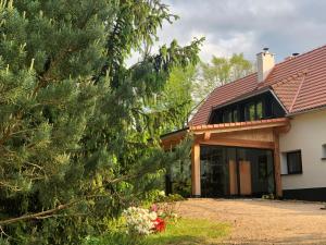 a house with a tree in front of it at Dom w Dolinie Zdrowia in Wleń
