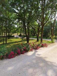 un parc avec des fleurs et des arbres et une route dans l'établissement Chambre d'hôte La Blénie, à Gignac