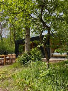 Czarny dom w lesie z drzewem w obiekcie Taiga tiny house w mieście Nunspeet