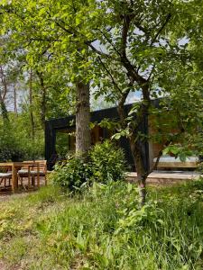 een zwart huis in het bos met een boom bij Taiga tiny house in Nunspeet