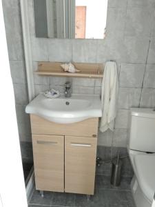 bagno con lavandino e servizi igienici di Vromolithos apartments #4 a Vromolithos