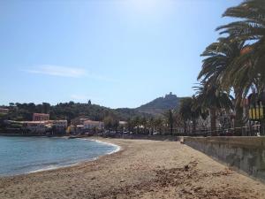 una playa de arena con palmeras y el océano en 6COMA6 Appartement avec terrasse vue mer, en Collioure