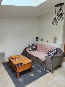 ein Wohnzimmer mit einem Sofa und einem Couchtisch in der Unterkunft Domaine Bellavigne Gites et SPA in Forcalquier