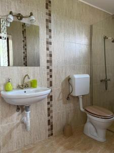 a bathroom with a sink and a toilet and a mirror at Casa Mardar in Oradea