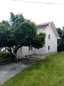 une maison blanche avec un arbre dans la cour dans l'établissement Otok, à Mesihovina