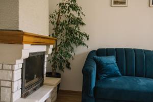 a blue couch in a living room with a fireplace at Girls Willa in Kraków