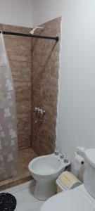 uma casa de banho com um chuveiro, um WC e um lavatório. em CASA TIPO CHALET SALTA em Salta