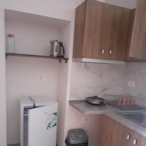 uma pequena cozinha com frigorífico e armários de madeira em Bona's Home em Tushemisht