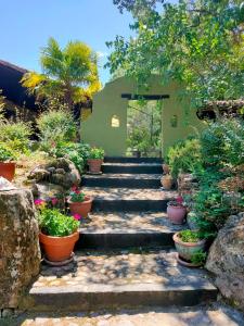 un jardín con escaleras y macetas en Hotel Rural Casa Alfayales-Only Adults, en Poyales del Hoyo