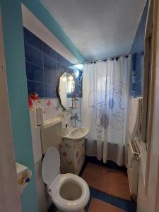 a small bathroom with a toilet and a sink at Hellen Studio Predeal in Predeal +25 photos