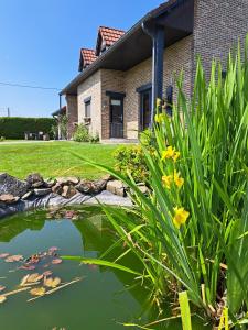 a house with a pond in front of a yard at Chez Baf - Wibrin - Houffalize in Wibrin