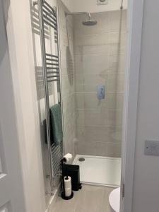 a bathroom with a shower and a toilet and a sink at Executive Coach House on the Hoe 2 free parking spaces in Plymouth