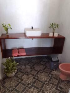 a bathroom with a sink on a counter with plants at Pondok Lestari Kadidiri in Batudaka