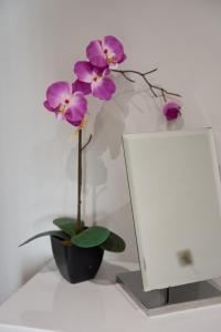 a purple flower in a black vase next to a mirror at Douglas Gatehouse in Douglas