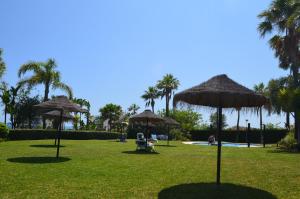 Luxury apartment Benalmadena First line外面的花园