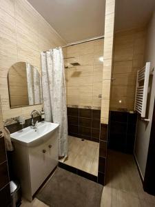a bathroom with a sink and a shower at Klimatyczne mieszkanie w centrum Giżycka in Giżycko